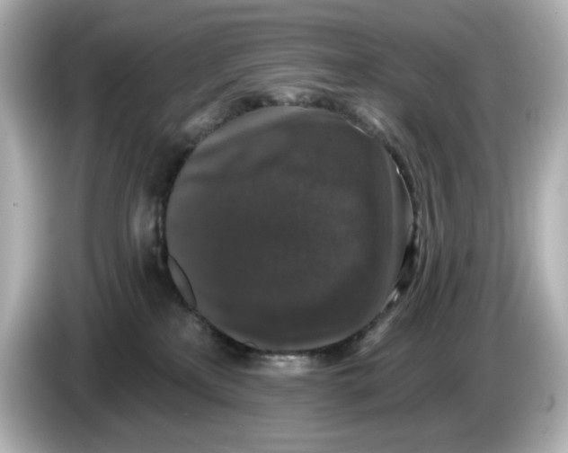 X0000085760233200704091340