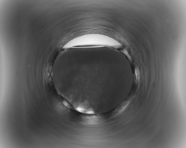 X0000085760237200704091340