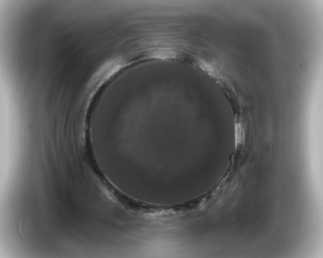 X0000085760243200704091339