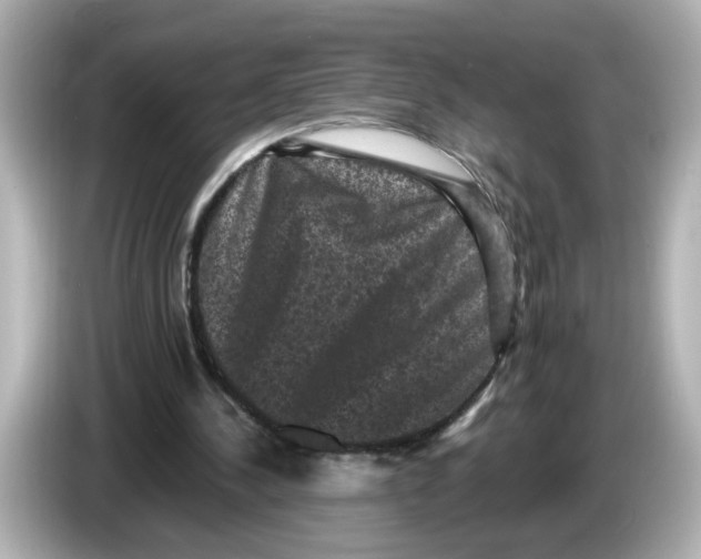 X0000085760244200704091339