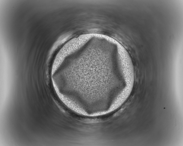 X0000085760245200704091339