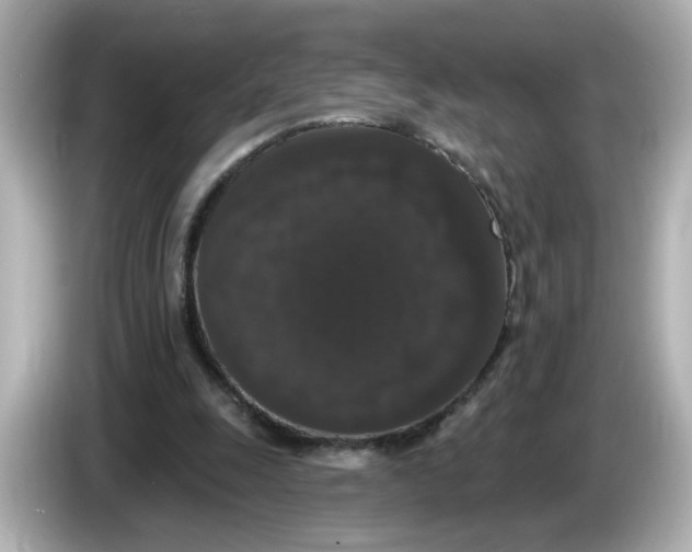 X0000085760247200704091339