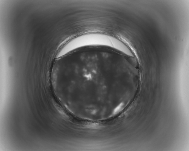 X0000085760249200704091339