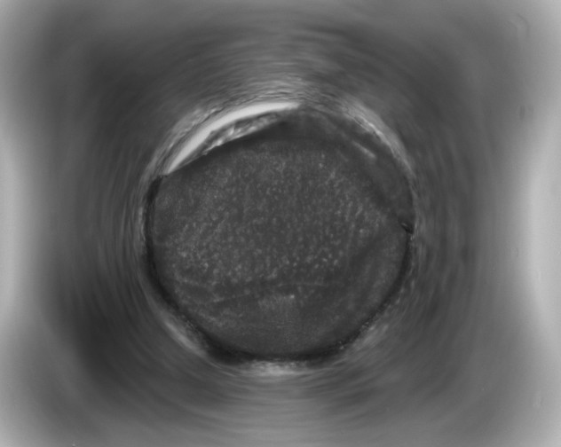 X0000085760250200704091340