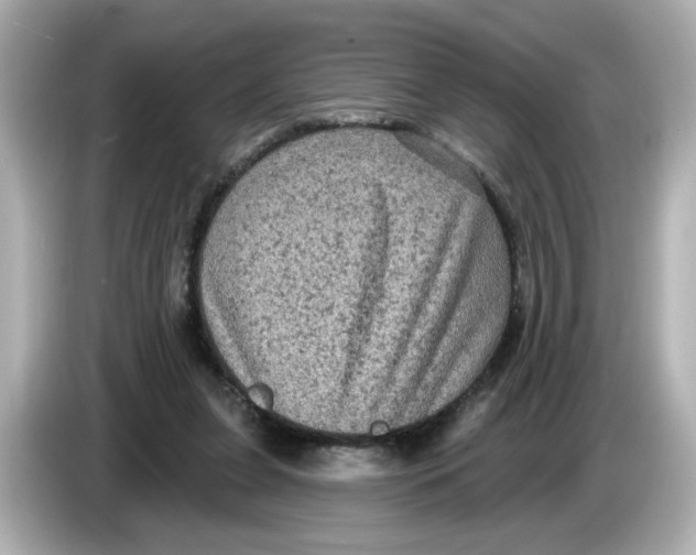 X0000085760255200704091340