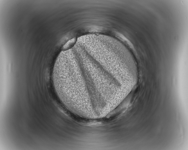 X0000085760257200704091340