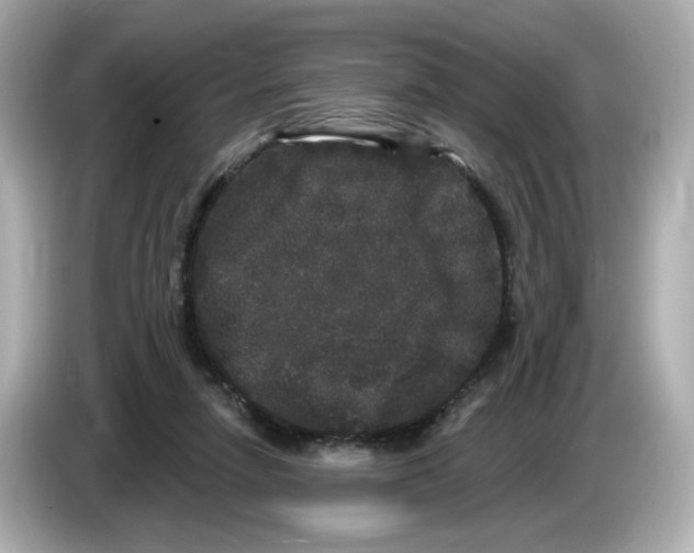 X0000085760258200704091340