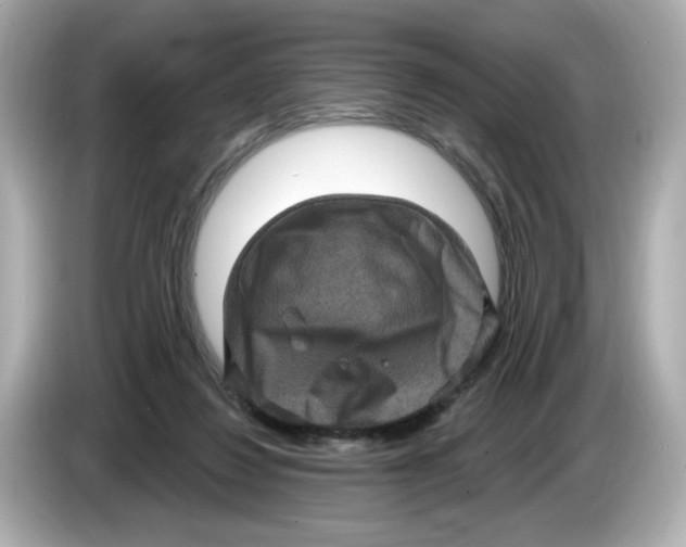 X0000085760260200704091340