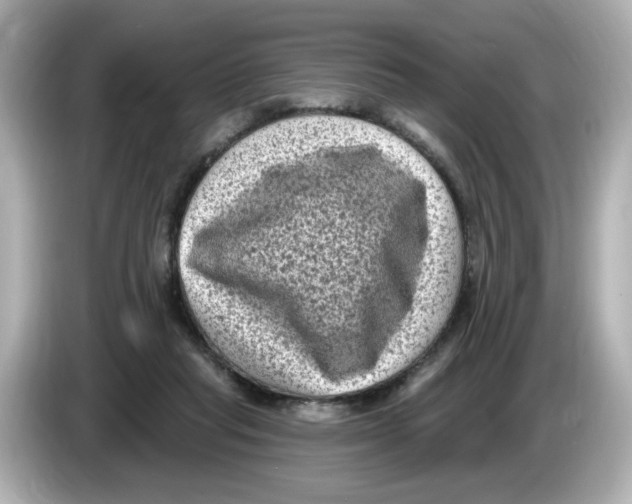 X0000085760261200704091340
