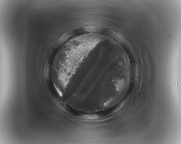 X0000085760266200704091340