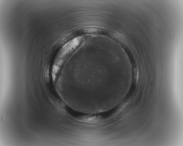 X0000085760267200704091340