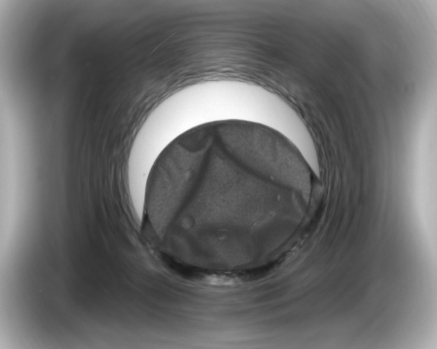 X0000085760272200704091340