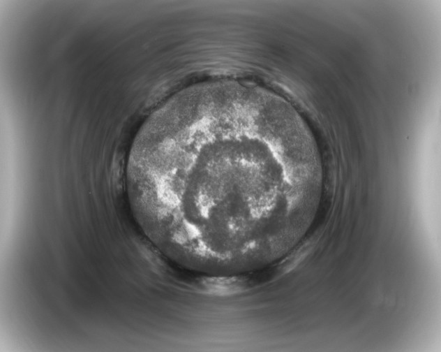 X0000085760273200704091340