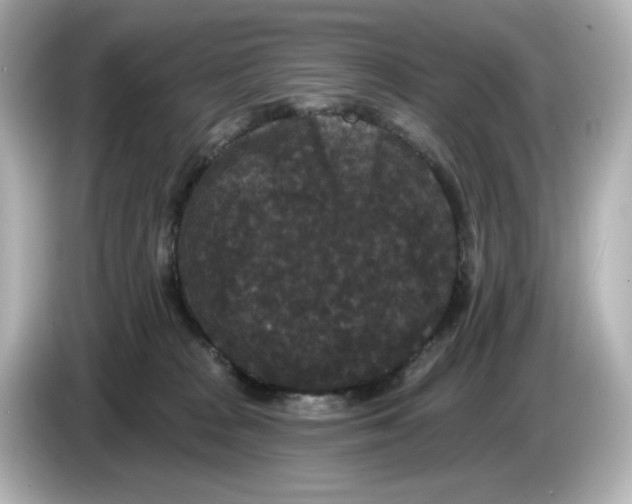 X0000085760277200704091340