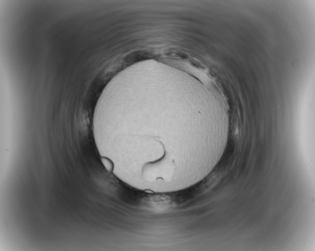 X0000085760279200704091340