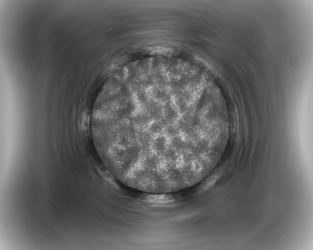X0000085760281200704091340