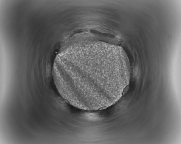 X0000085760283200704091340