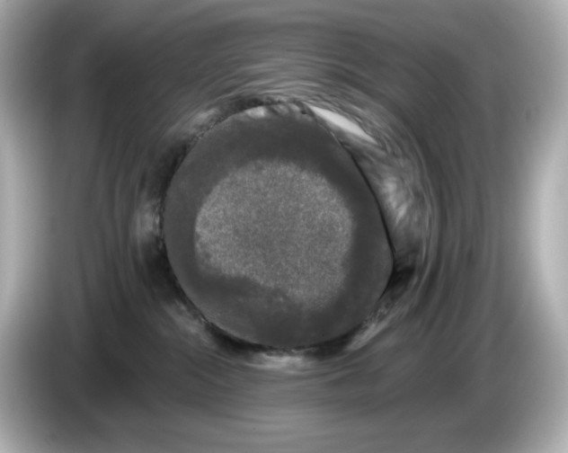 X0000085760284200704091340