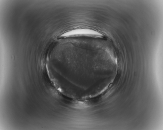 X0000085760285200704091340