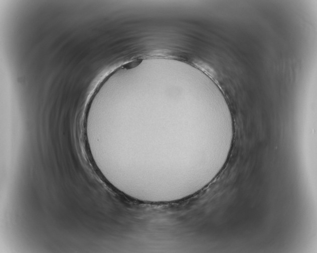 X0000085760289200704091339