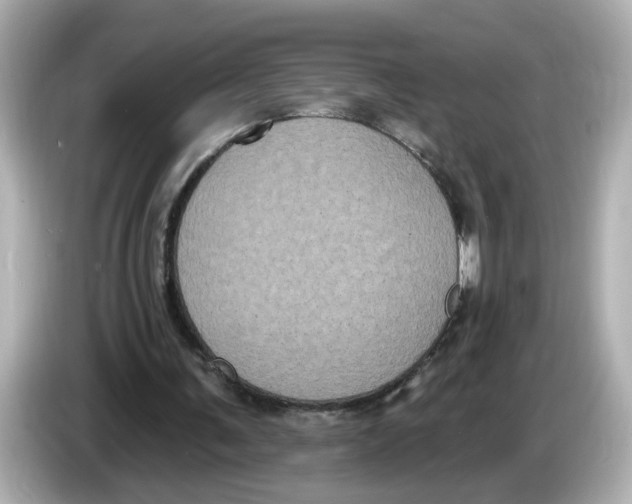 X0000085760291200704091339