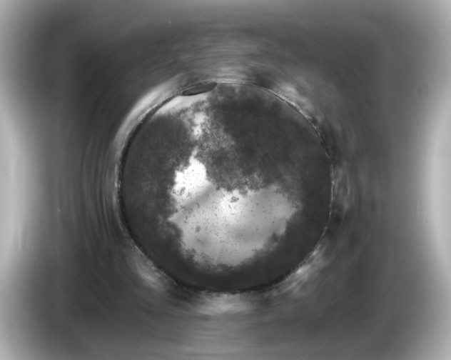 X0000085760293200704091339