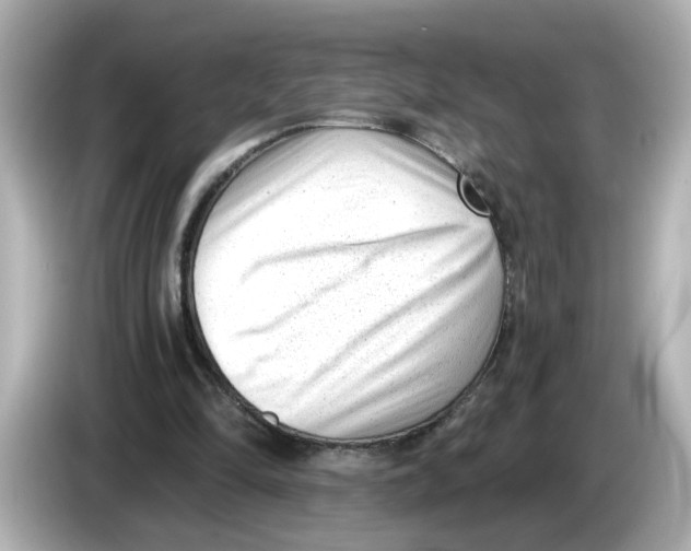 X0000085760294200704091339