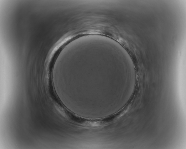 X0000085760295200704091339