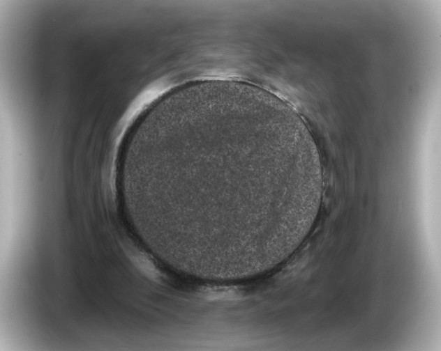 X0000085760296200704091339