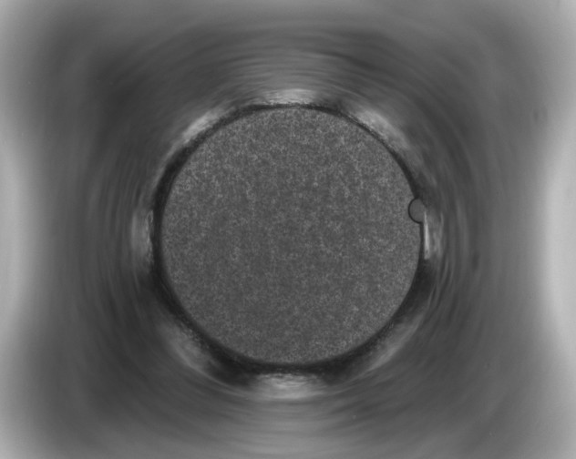 X0000085760300200704091339