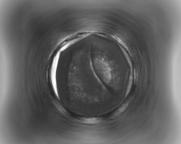 X0000085760301200704091339
