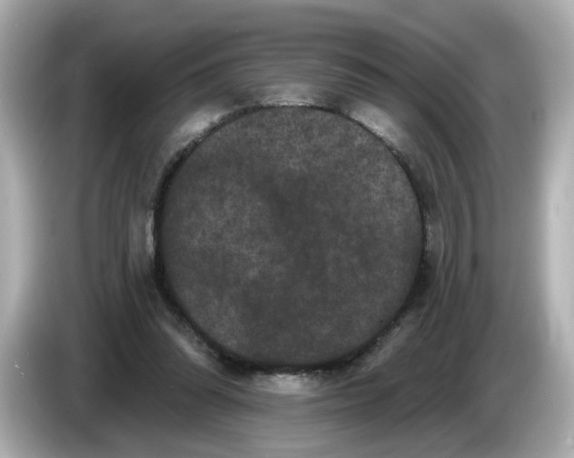 X0000085760302200704091339