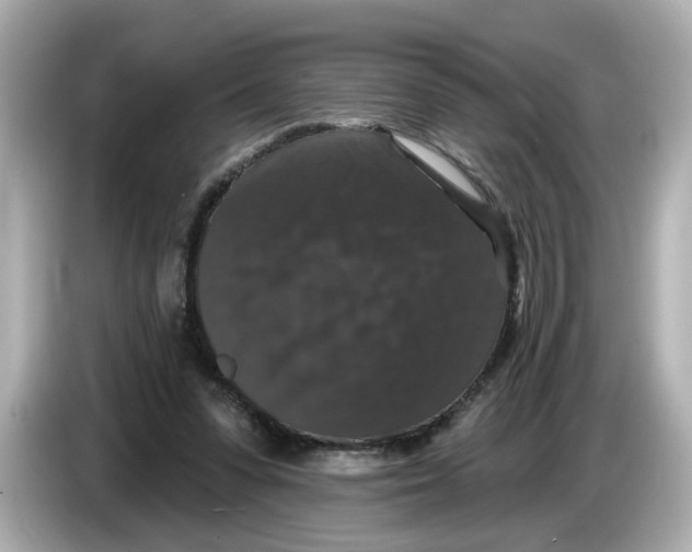 X0000085760303200704091339