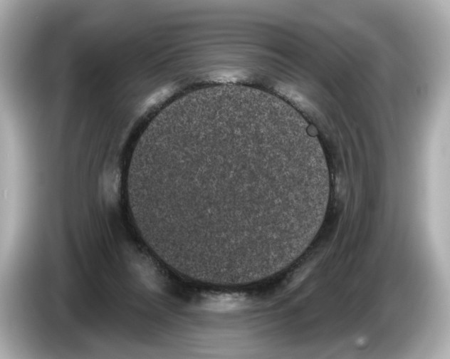 X0000085760304200704091339