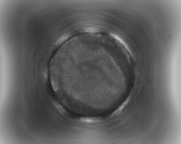 X0000085760305200704091339