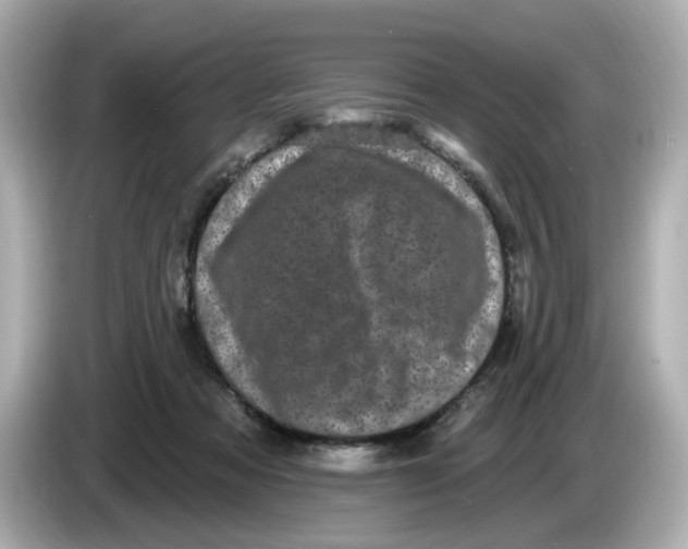 X0000085760313200704091339