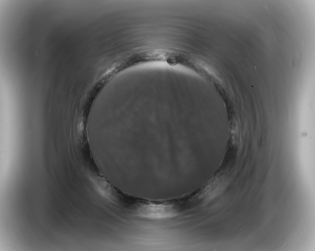 X0000085760314200704091339