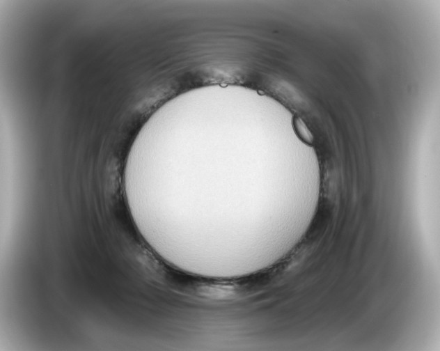 X0000085760318200704091339