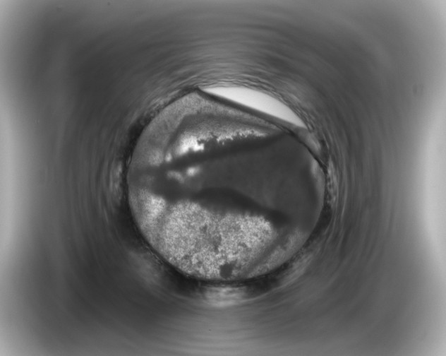 X0000085760319200704091339