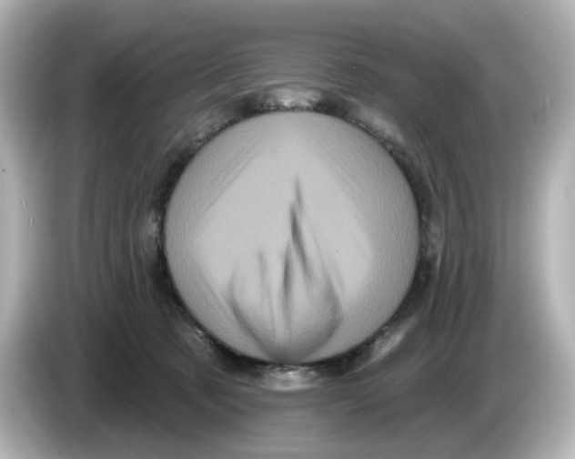 X0000085760321200704091339