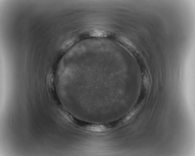 X0000085760322200704091339