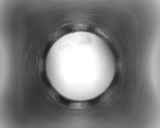 X0000085760323200704091339