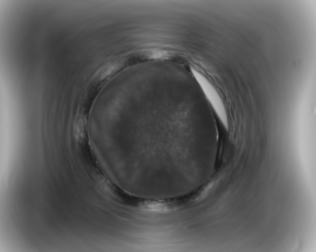 X0000085760325200704091339