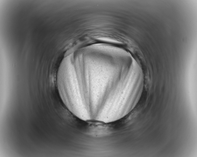 X0000085760329200704091339