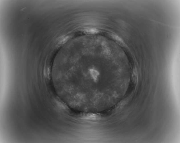 X0000085760330200704091339