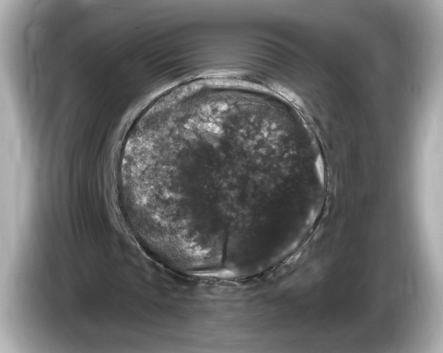 X0000085760337200704091338