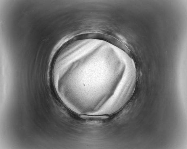 X0000085760340200704091338