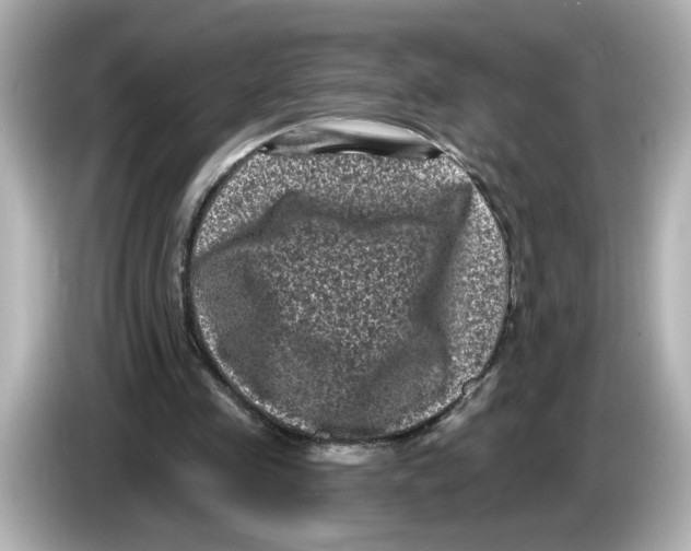 X0000085760341200704091338