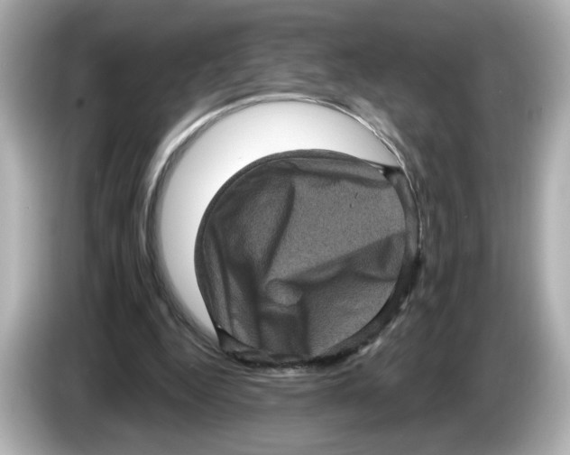 X0000085760344200704091338