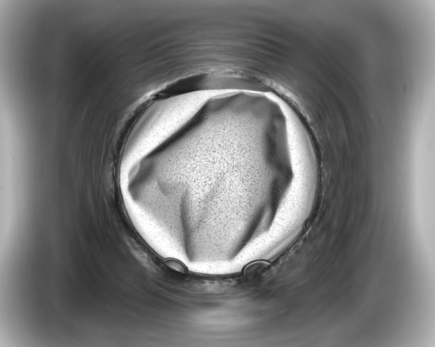 X0000085760345200704091338